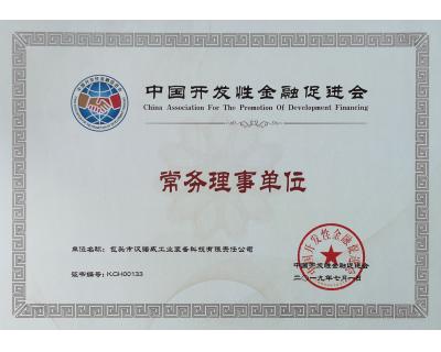 中國開發(fā)性金融促進會常務(wù)理事